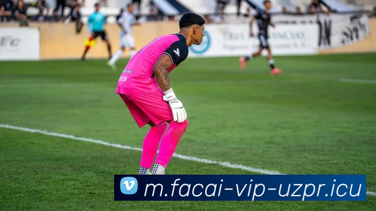 乐鱼体育注册APP 封面图